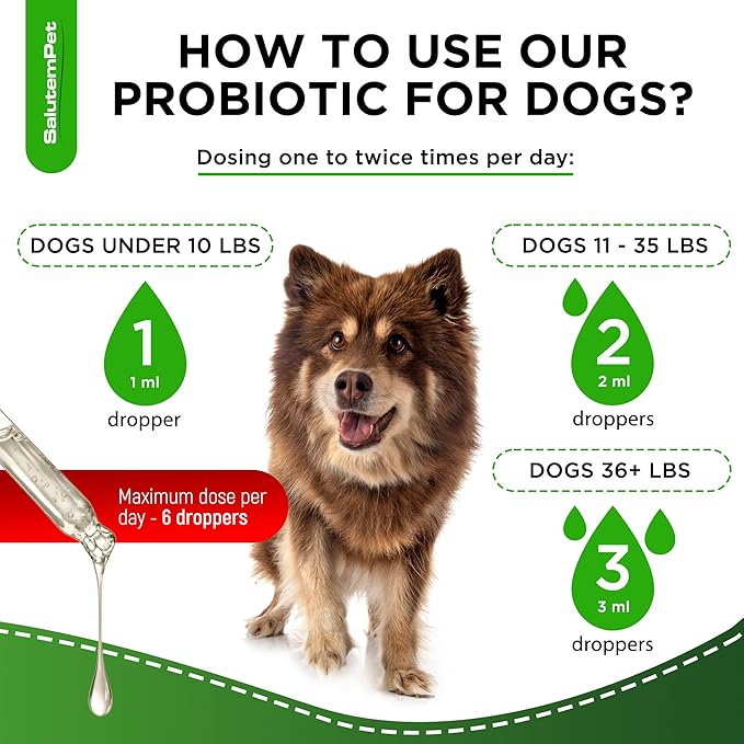 Probiotics for Dogs | Liquid Probiotics for Dogs and Puppies | Prebiotic & Digestive Enzymes | Gut Flora Support and Digestive Care | Bacon Taste | 2 Oz