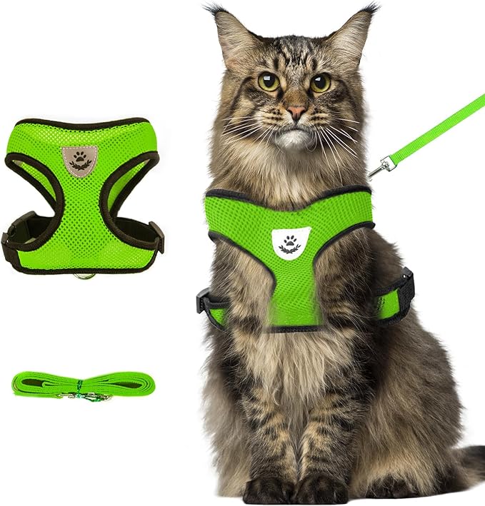 shudyear Summer cat Chest Harness and Leash, Anti-Escape Adjustable Soft mesh cat Leash and Chest Harness Set for All Types of Cats cat Vests (Size XL,Green)
