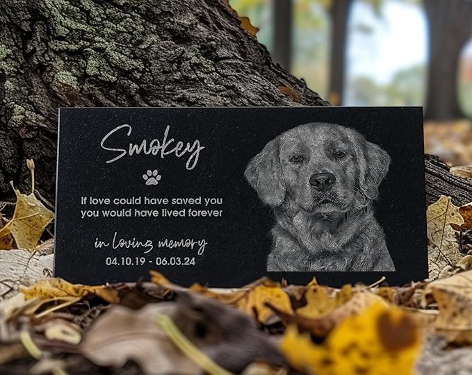 In Loving Memory Pet Memorial Stone w/ Engraved Image: Dog, Cat, Puppy, Kitten Grave Marker for Backyard, Garden Tribute, Cemetery Tombstone, Graveside Ornament, Burial Marker