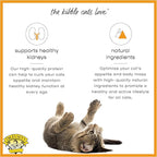 Dr. Elsey's cleanprotein Turkey Cat Kibble 6.6 lb Bag