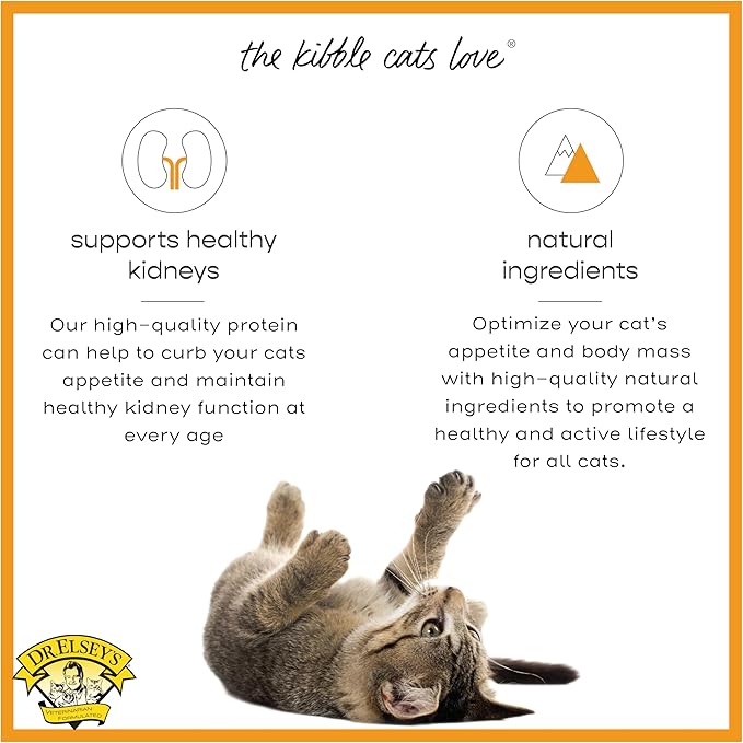 Dr. Elsey's cleanprotein Turkey Cat Kibble 6.6 lb Bag