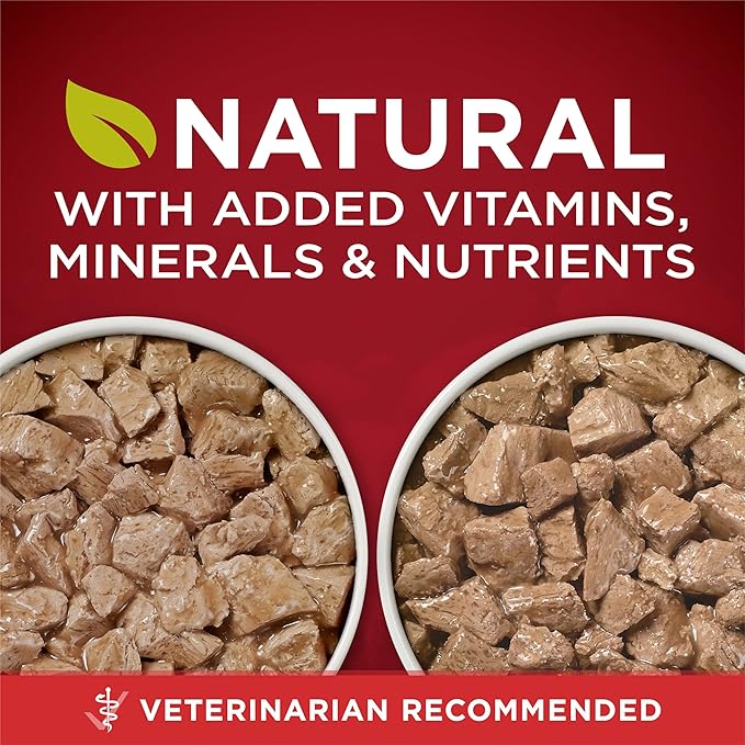 Purina ONE True Instinct Tender Cuts in Gravy With Real Turkey and Venison, and With Real Chicken and Duck High Protein Wet Dog Food Variety Pack - (Pack of 12) 13 oz. Cans