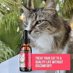 Ease for Cats - Natural Cat Hemp Oil for Mobility & Joint Support - Senior Cat Wellness Drops for Hip & Joint Comfort