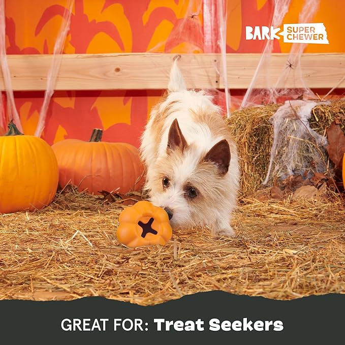 Barkbox Squash Dog Toy | Natural Rubber, Treat Dispensing, Cream Scented & Fun Wobble Design | Dog Toy for Aggressive Chewers