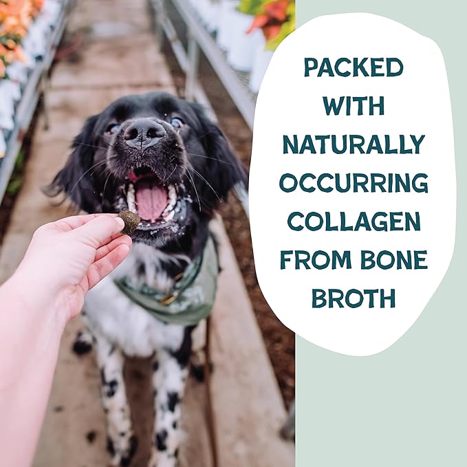 Shameless Pets Bone Broth Dog Training Treats – Soft, Natural Puppy & Dog Treats with Collagen – Healthy, Low-Calorie Training Chews for Small, Medium & Large Dogs - 8oz (Pack of 1)