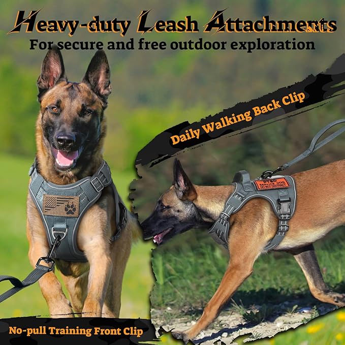 rabbitgoo Dog Harness Small Sized No Pull, Tactical Service Pet Vest with Molle and Control Handle, Adjustable and Reflective Military Harness for Easy Walking and Training, Grey, S