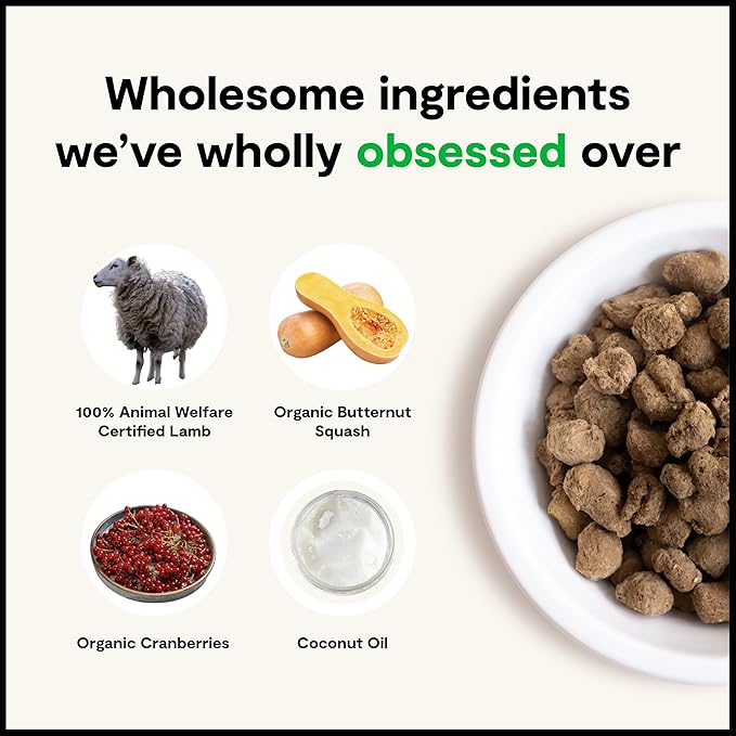 Open Farm, Freeze Dried Raw Dog Food, Morsels with 95% Meat, Organs & Bone, Organic Produce & Superfoods, Complete Meal or Freeze Dried Dog Food Topper, Lamb Recipe, 13.5oz Bag