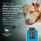 VetriScience Veterinary Strength Gut Health Powder - Gut Health Supplement for Pets - Immunity Support - Pet-Friendly Probiotic Powder - Tasteless & Odorless - 60 Servings