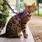 Cat Harness and Leash Set with Airtag Holder for Walking & Travelling, Escape Proof Cat Harness for Small Medium Large Kitten, Adjustable Lightweight Soft Cat Vests (Purple)