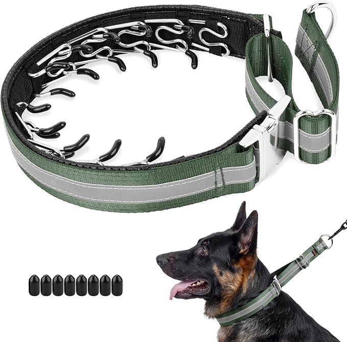 Mayerzon Martingale No Pull Collar for Large Medium Dogs, Patented Dog Walking Training Collar for Pulling, 1.5'' Wide Alloy Buckle, Neoprene Padded, Adjustable, Reflective, Easy to Use(M, Green)