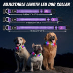 LED Dog Collar, Light Up Dog Collar, USB Rechargeable - Brightest Dog Lights for Night Walking, 6 Light Modes, Adjustable for Dog Safety(Medium, Purple)
