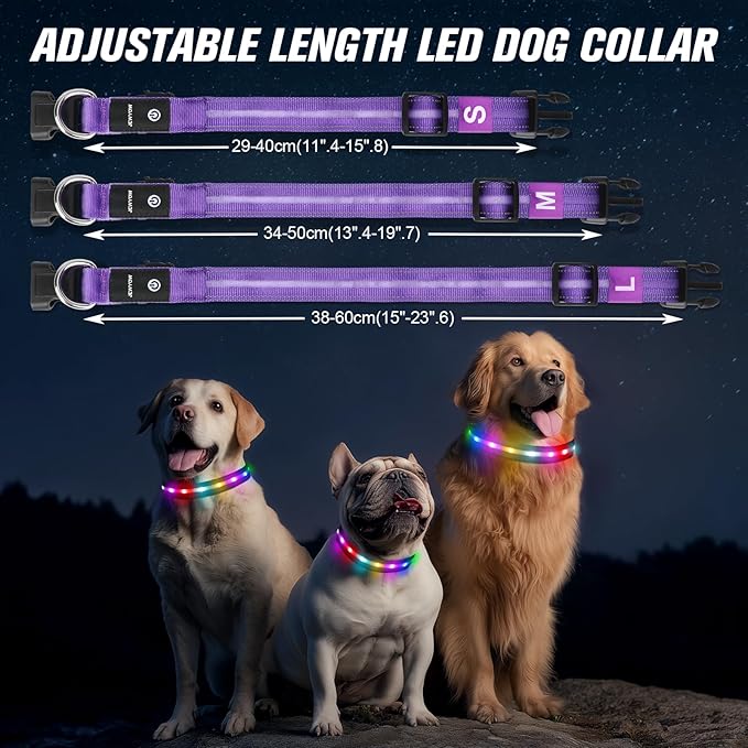 LED Dog Collar, Light Up Dog Collar, USB Rechargeable - Brightest Dog Lights for Night Walking, 6 Light Modes, Adjustable for Dog Safety(Medium, Purple)