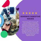 I and love and you Wet Cat Food - Oh My Cod Pâté - Cod Recipe, Grain Free, Filler Free, 3oz Pack of 24 Cans