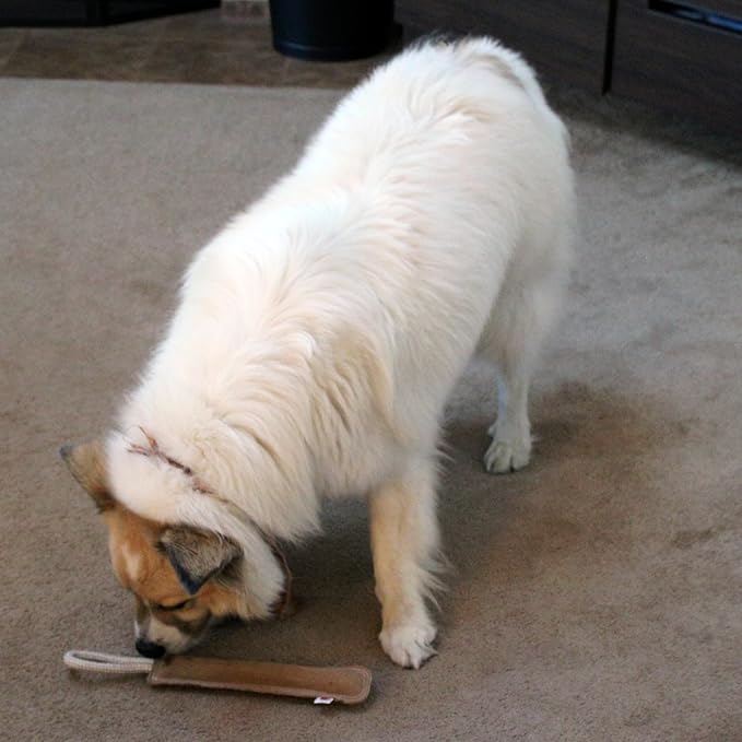 SPOT Dura-Fused Leather Retriever Dog Toy – Real Leather & Jute Fabric, Double-Stitched & Durable, Squeaky Interactive Tug Toy with Rope Handle for Moderate Chewers, Soft Stuffed Fetch Toy, 15in