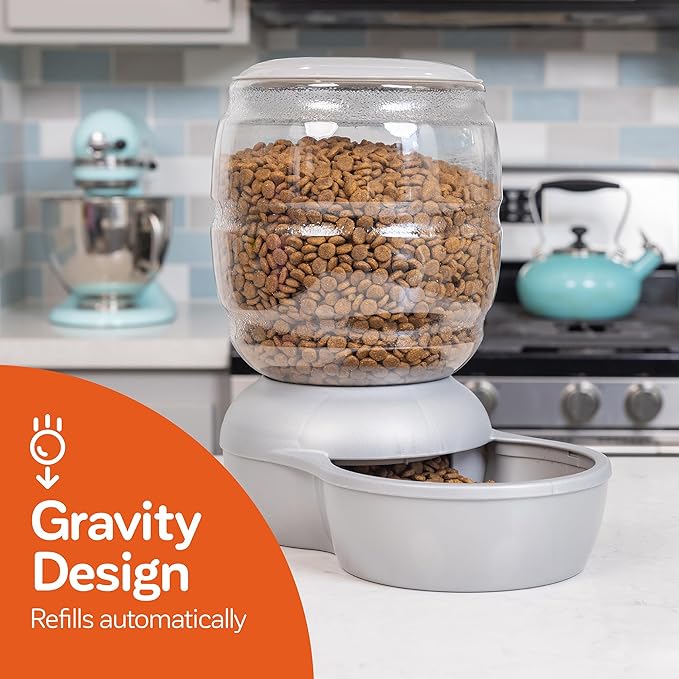 Petmate Replendish Feeder Automatic Cat and Dog Feeder, Pearl Peacock Blue, 10 LB, Made in USA