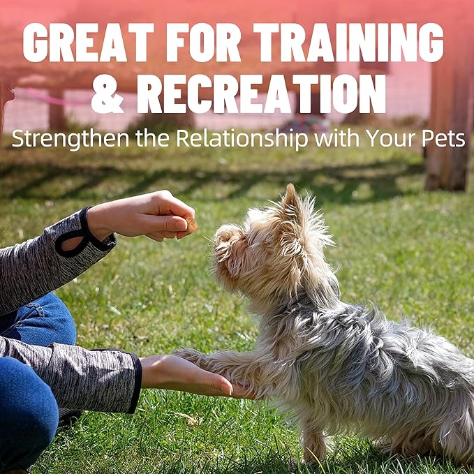 Just Try 6.70 oz Freeze-Dried Salmon Dog Treats & Cat Treats Food Topper- Single Ingredient, Grain-Free, High Protein Snack for Training