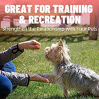 Just Try 6.70 oz Freeze-Dried Salmon Dog Treats & Cat Treats Food Topper- Single Ingredient, Grain-Free, High Protein Snack for Training