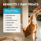 Northwest Naturals Raw Rewards Freeze-Dried Minnow Treats for Dogs and Cats - Bite-Sized Pieces - Healthy, 1 Ingredient, Human Grade Pet Food, All Natural, Proudly Made in USA, 1 Oz (Pack of 3)