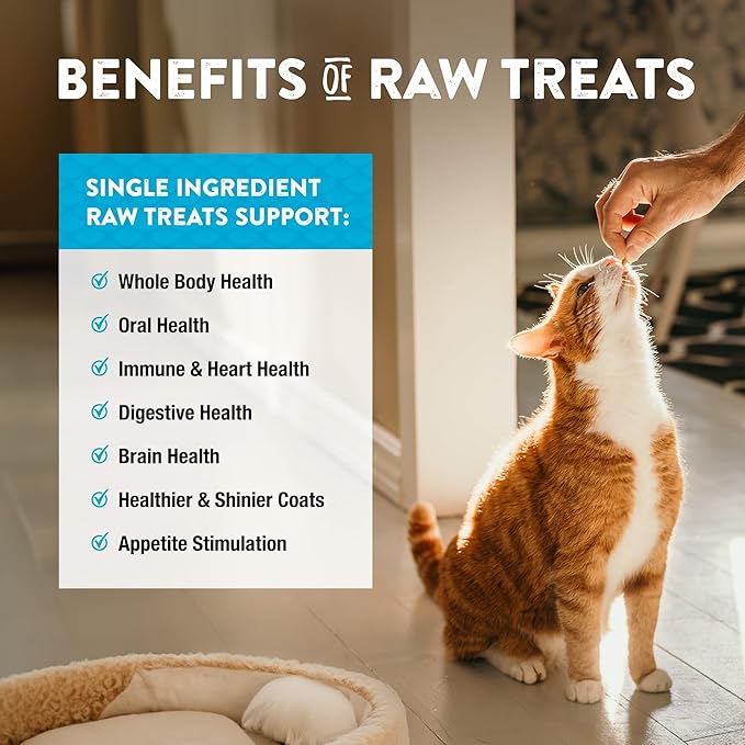 Northwest Naturals Raw Rewards Freeze-Dried Minnow Treats for Dogs and Cats - Bite-Sized Pieces - Healthy, 1 Ingredient, Human Grade Pet Food, All Natural, Proudly Made in USA, 1 Oz (Pack of 3)