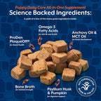 NaturVet All-In-One Puppy Daily Care, 6-In-1 Support Dog Soft Chews to Help Bones, Joints, Digestion, Teeth, Cognition, and More, Hickory Smoked Bacon Flavored Pet Supplement for Puppies, 60 Count Jar