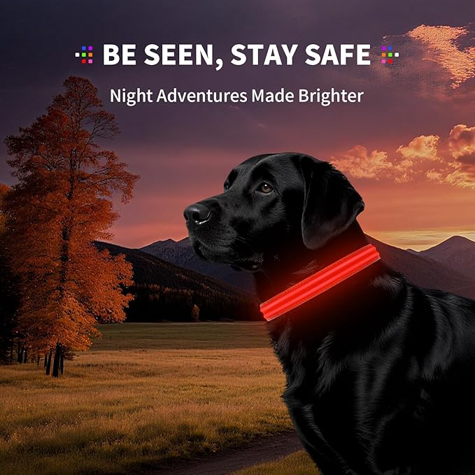 LED Dog Collar with Metal Buckle - USB Rechargeable Glow Collar for Dogs, Waterproof Light Up Dog Collar w/Reflective Strips - Adjustable Night Safety Collars by PetIsay(Red, Small)