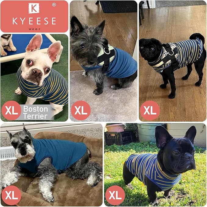 KYEESE 2Pack Dog Sweater Pullover Dog Sweaters for Small Dogs Male Warm Pet Coats Stretchy Dachshund Clothes Soft Pet Sweatshirt Turtleneck Dogs Clothes