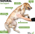 Deley Naturals Dog Probiotic Chews - Dogs Probiotic for Digestive Health with 4 Billion CFUs & Digestive Enzymes - Anti Diarrhea for Dogs - Dog Gut Health Probiotics for Allergies - Made in The USA