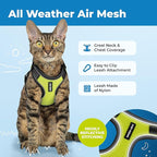 Voyager Escape-Proof Step-in Lock Cat Harness & 5ft Neoprene-Handle Leash Set All-Weather Mesh with Reflective Stitching for Small to Large Cats by Best Pet Supplies, Black Trim-Lime (327), XXXS