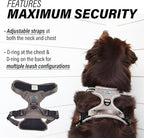 Doggie Design Venture Paw No Pull Dog Harness - Simple Adjustable Puppy Harness - Anti Pull Dog Collar for Walks and Outdoor Adventures - Dried Sage, XL