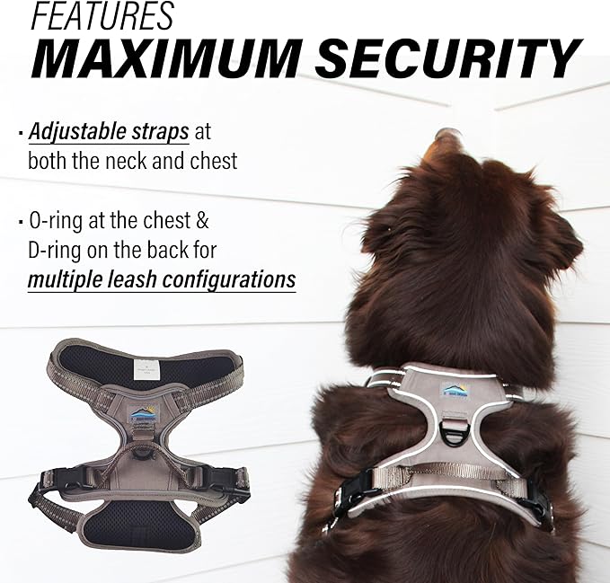 Doggie Design Venture Paw No Pull Dog Harness - Simple Adjustable Puppy Harness - Anti Pull Dog Collar for Walks and Outdoor Adventures - Dried Sage, XL
