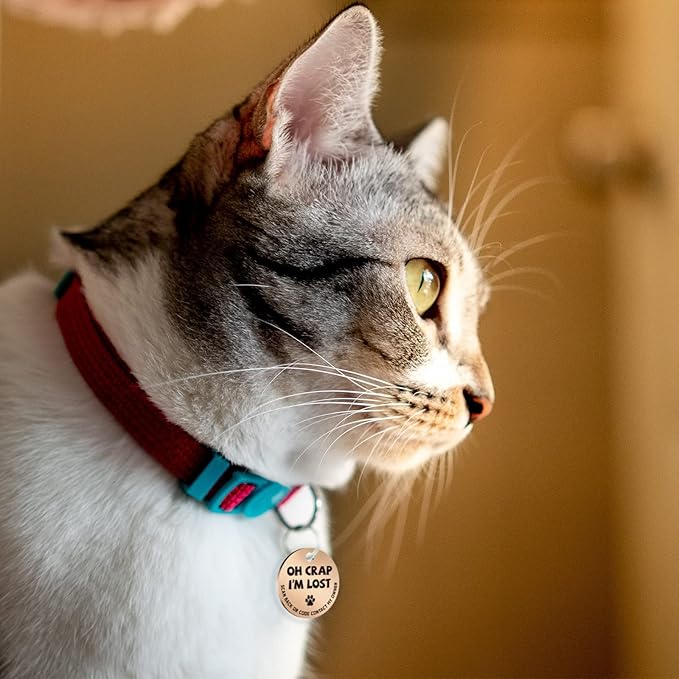 MYLUCKYTAG Stainless Steel QR Code Cat Tags - Online Profile, Scan QR for Instant Pet Location Alerts