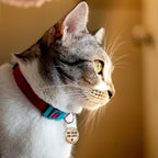MYLUCKYTAG Stainless Steel QR Code Cat Tags - Online Profile, Scan QR for Instant Pet Location Alerts