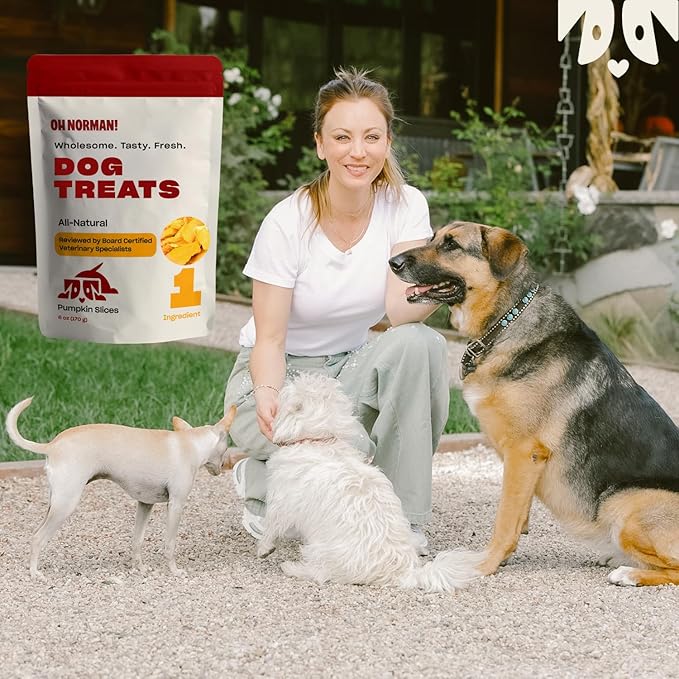 OH NORMAN! Single Ingredient Pumpkin Dog Treats by Kaley Cuoco, Healthy Dog Treats for All Life Stages and Breeds, Air Dried, Ethically Sourced in Canada, 6 Oz