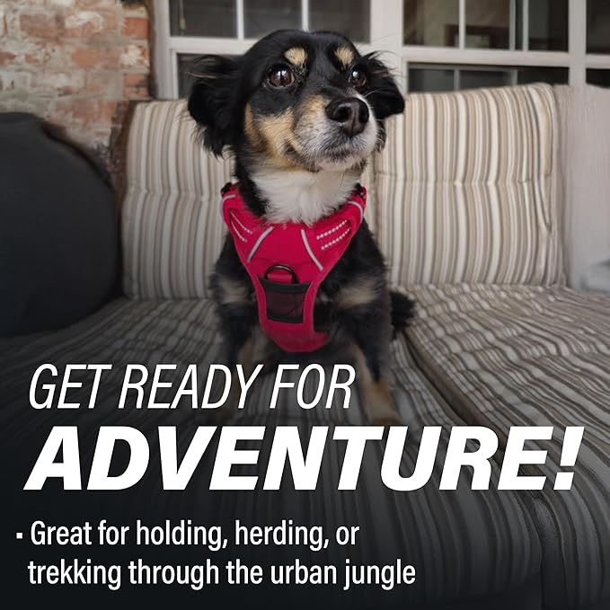 Doggie Design Venture Paw No Pull Dog Harness - Simple Adjustable Puppy Harness - Anti Pull Dog Collar for Walks and Outdoor Adventures - Crimson, S