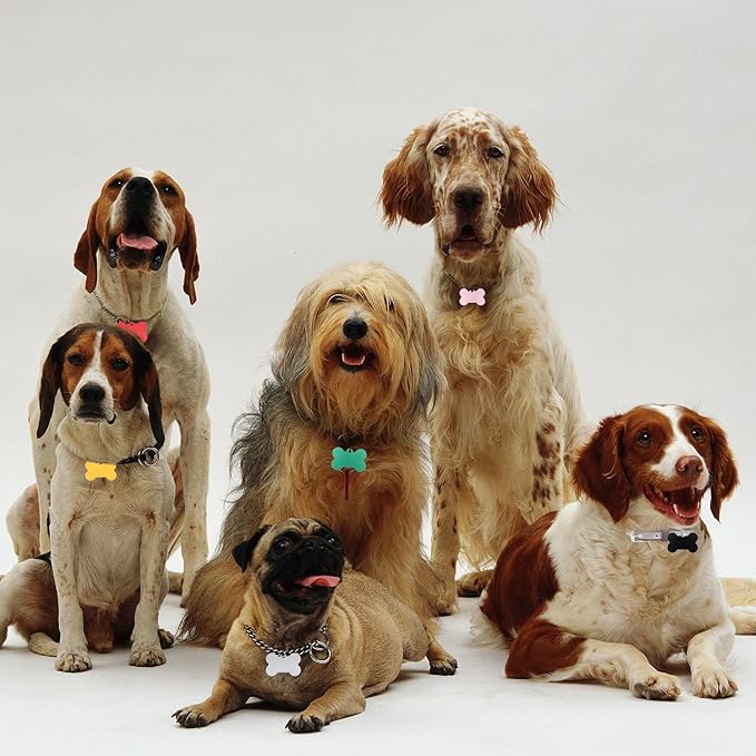 100 Pcs Blank Dog Tags for Engraving 38mm Pet ID Tags Aluminum Bone Shape Name Tag Colorful Double Stamping Dog Cat Phone Number Tag Collar Pendants with Hole