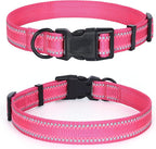 Mile High Life Nylon Night Light Glow Collar, Reflective Light Up Dog Collar, Fluorescent Self-Luminescent Strap for Small Medium Large Dogs (Pink, L Neck15-19")