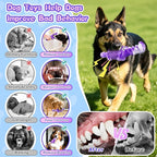 Squeaky Dog Chew Toys for Aggressive Chewers - Tough Crocodile Chew Toy for Small Medium Large Dogs, Dental Cleaning & Anxiety Relief, Boredom Buster (Purple)