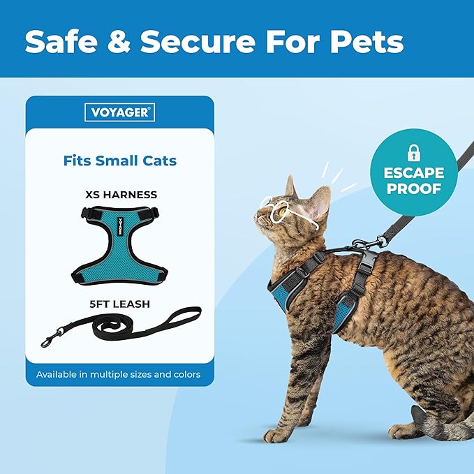 Voyager Escape-Proof Step-in Lock Cat Harness & 5ft Neoprene-Handle Leash Set All-Weather Mesh with Reflective Stitching for Small to Large Cats by Best Pet Supplies, Black Trim-Turquoise (327), XS