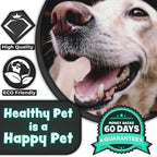 H&H Pets Dog Toothbrush Dual Headed Design Dental Toothbrushes for Small & Large Dogs, 4 or 8 Counts Pack