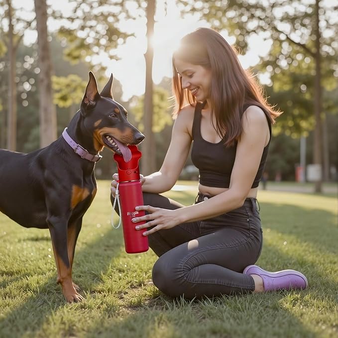 Stainless Steel Dog Travel Water Bottle, Vacuum Insulated Portable Dog Water Dispenser, Drink Cup and Snack Container On The Go, Outdoor Walking, Hiking, Travel (Red, 22oz)