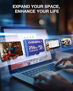 256GB LT100 microSDXC UHS-I Memory Card with Adapter - up to 170MB/s, C10, U3, V30, 4K, A2, Micro SD Card for Smartphones, Tablets, Cameras, Gaming Consoles, and Drones (1 Pack)