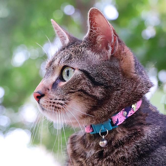 Kittyrama Botanicals Fern Kitten Collar. Award Winning. Hypoallergenic, Quick Release Breakaway, Comfy & Soft. Vet Approved. Other Styles Available