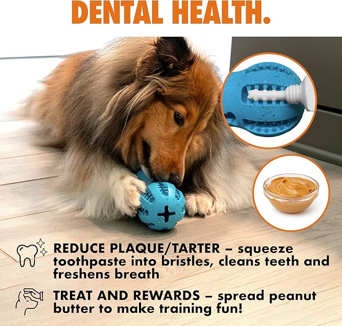 Max Fusion Made with Nike Grind, Arlee Weeble Treat Dispensing Dog Toy, Treat Dispenser, Durable Treat Toys for All Dogs, Natural Rubber Chew Toy, Large, Yellow, 1 Count