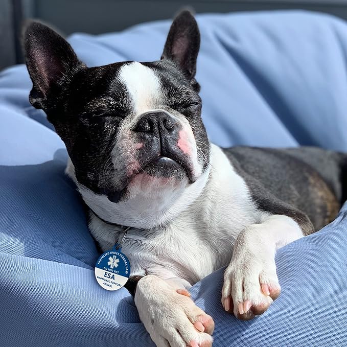 MYLUCKYTAG Emotional Support Animal (ESA) Tag - QR Code Digital Pet ID, Online Profile, Location Alert Email - Durable Stainless Steel Collar Tag