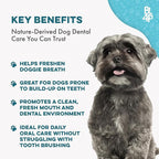 Dog Dental Care & Bad Breath Remedy, Natural Dog Oral Care for Healthy Teeth, Mouth & Gums, Daily Canine Breath Freshener, Plaque, Tartar Control Helps Reduce Gingivitis, Easy to Use 800 Tiny Pills