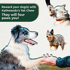 KATHMANDU'S Authentic Yak Cheese Himalayan Dog Chews - All Natural and Protein-Rich Nutrition Dog Treats, Long Lasting Chews for Aggressive Chewers, Odor Free Yak Chew | Small/Medium (Pack of 2)