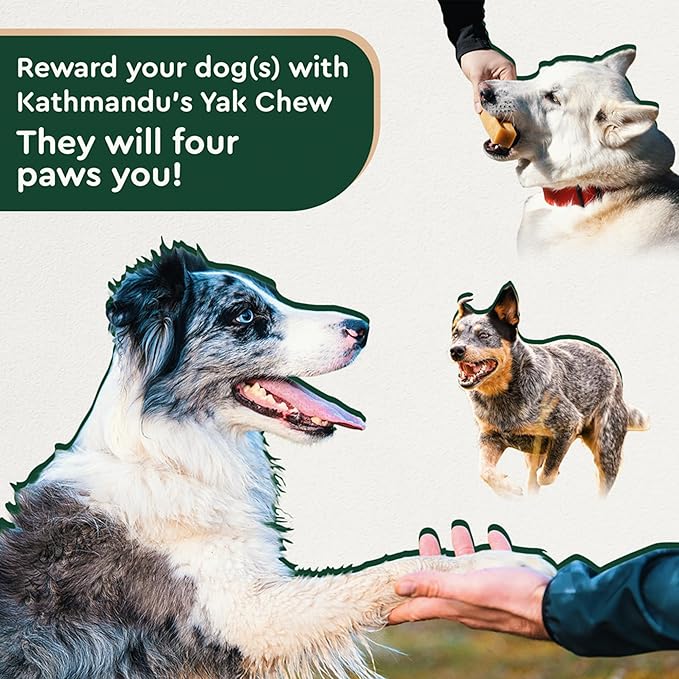 Authentic Himalayan Natural Dog Cheese Chew (Pack of 4 Large & XLarge Chews), Premium Organic Yak Chew, Keeps Your Dog Busy, Ideal for Indoors and Outdoors Use