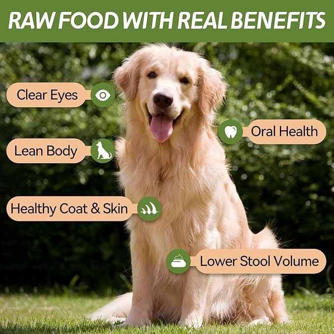 OPET Freeze Dried Chicken Cat Treats, Single Ingredient Grain Free High Protein Pet Food for Cats and Dogs, Healthy Training Snacks, Freeze Dried Cat Food (Chicken Breast, 5.92 Ounce)