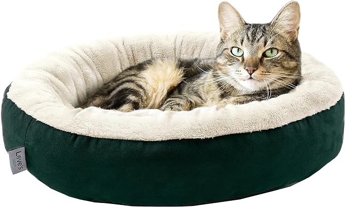 Love's cabin Round Donut Cat and Dog Cushion Bed, 20in Pet Bed for Cats or Small Dogs, Anti-Slip & Water-Resistant Bottom, Super Soft Durable Fabric Pet Beds, Washable Luxury Cat & Dog Bed Green