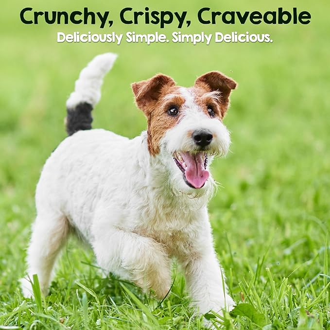 Riley's Slims Chicken Sticks for Dogs - Natural USA Sourced Dehydrated Chicken Jerky Treats, Made in The USA - 2 Pack